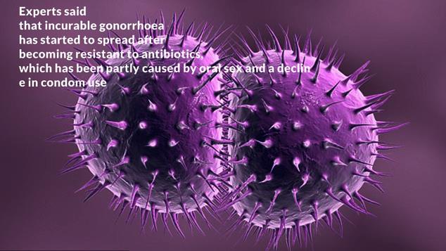 Oral sex:  Role of oral sex in spreading the disease