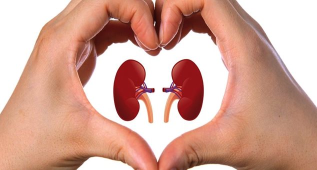 Sağlık Köşesi: Saç Dökülmesine Neden Olan Unsurlar