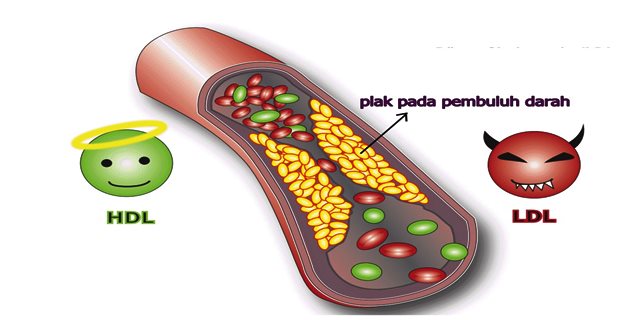 Sağlık Köşesi: Saç Dökülmesine Neden Olan Unsurlar