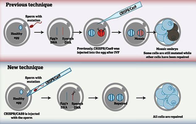 Scientists achieve first safe repair of gene mutation video