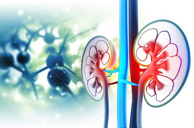 İnce Hastalık: Verem hastalığının 8 belirtisine dikkat