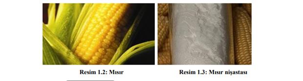 Nişasta Üretimi: Gıda Teknolojisi Gıda İşleme Teknikleri (Eğitim)