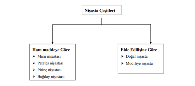 Nişasta Üretimi: Gıda Teknolojisi Gıda İşleme Teknikleri (Eğitim)