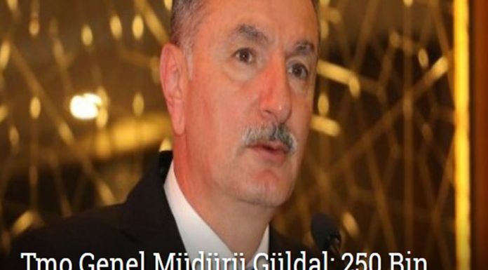 Güldal: 250 Bin Ton Ekmeklik Buğday İthal Edeceğiz