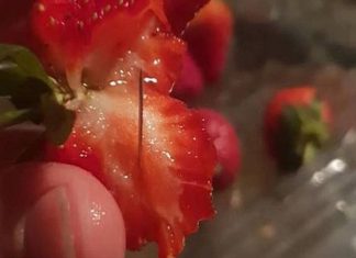 The picture that shows why the strawberry terrorists won’t win The picture that shows why the strawberry terrorists won't win