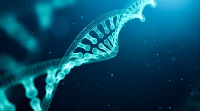 DNA Eşlenmesi: Hücrelerin bölünmesi rastgele gerçekleşen bir olay değildir