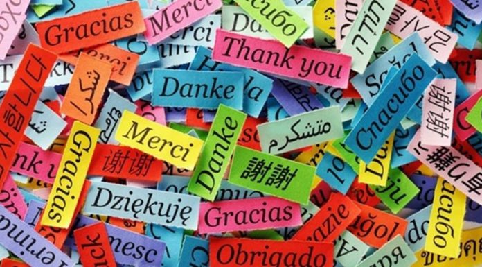 Yabancı Dili Öğrenmenin İdeal Yaşı (Yabancı Dil Öğrenme)