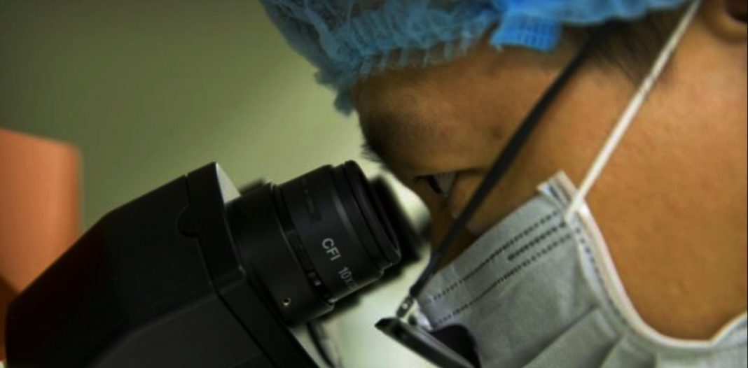 'Genetikleri Değiştirilmiş İlk Bebekler Hayata Gözlerini Açtı'