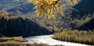 Dergi-Türk mitolojisinde kutsal nehirler