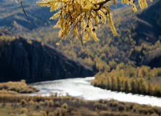 Dergi-Türk mitolojisinde kutsal nehirler