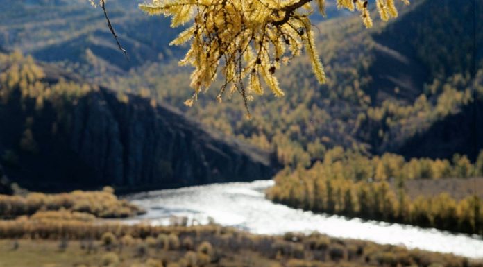 Dergi-Türk mitolojisinde kutsal nehirler