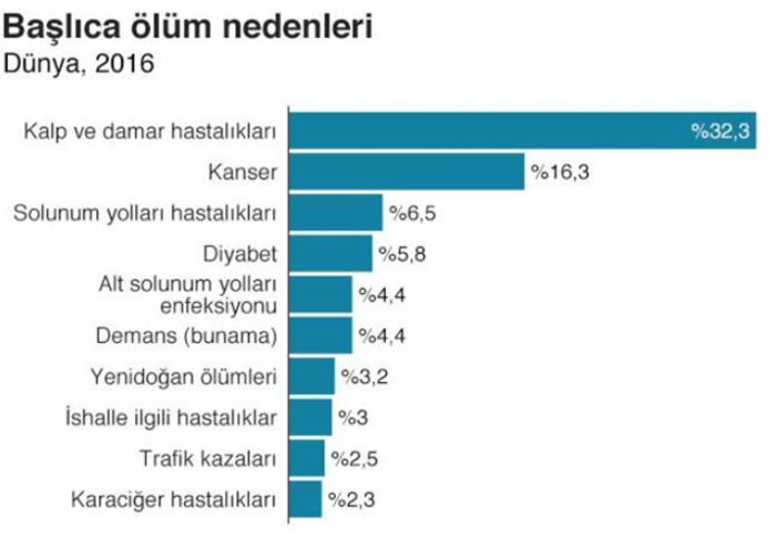 Dünya Genelinde Başlıca Ölüm Nedenleri