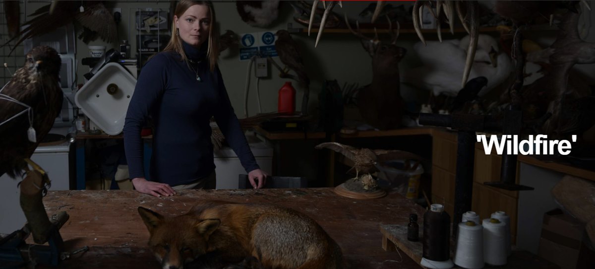 Game Of Thrones: Game of Thrones (Taht Oyunları)