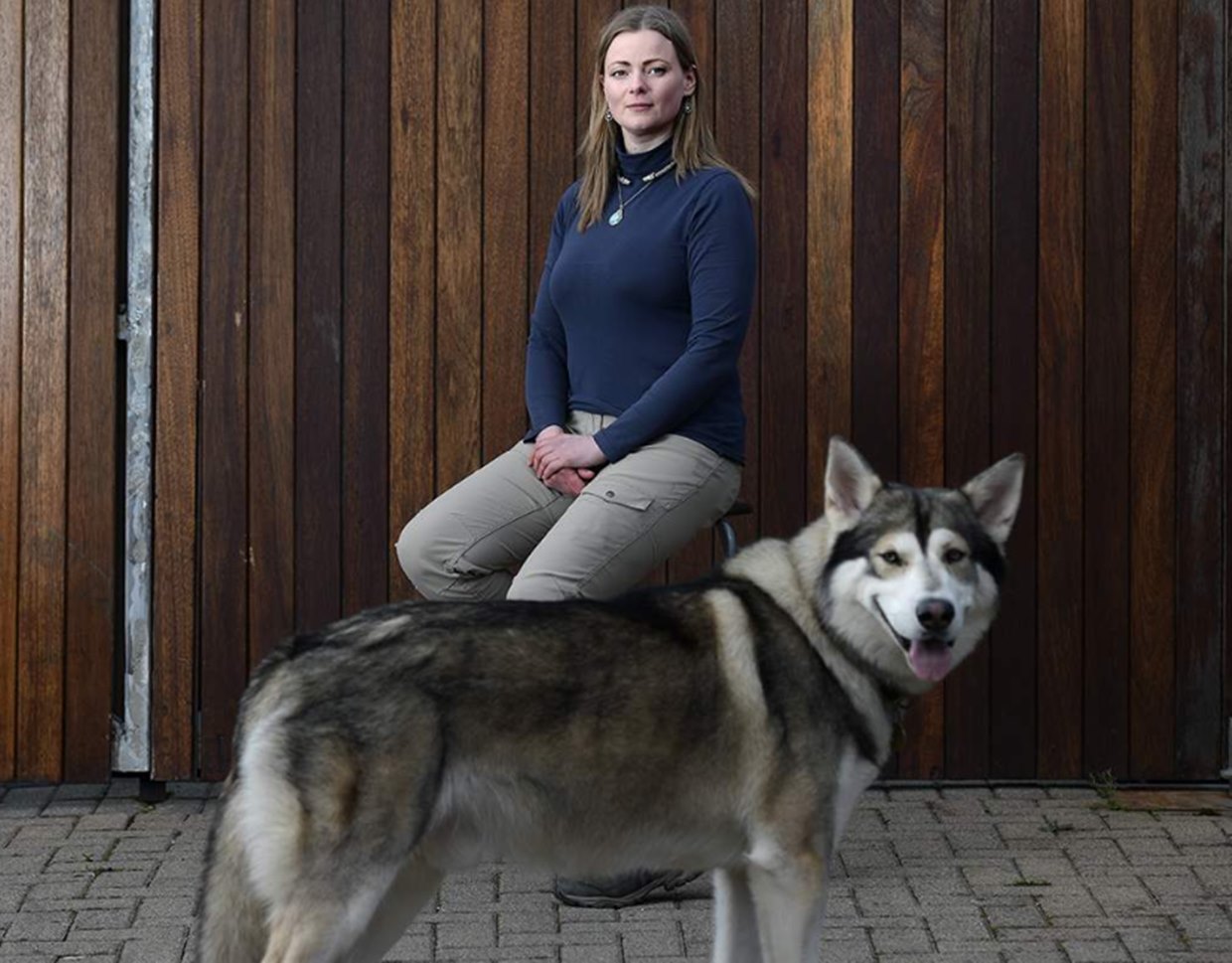 Game Of Thrones: Game of Thrones (Taht Oyunları)