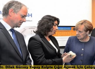 Dr. Dilek Gürsoy Yapay Kalpte Çığır Açmak İçin Çalışıyor