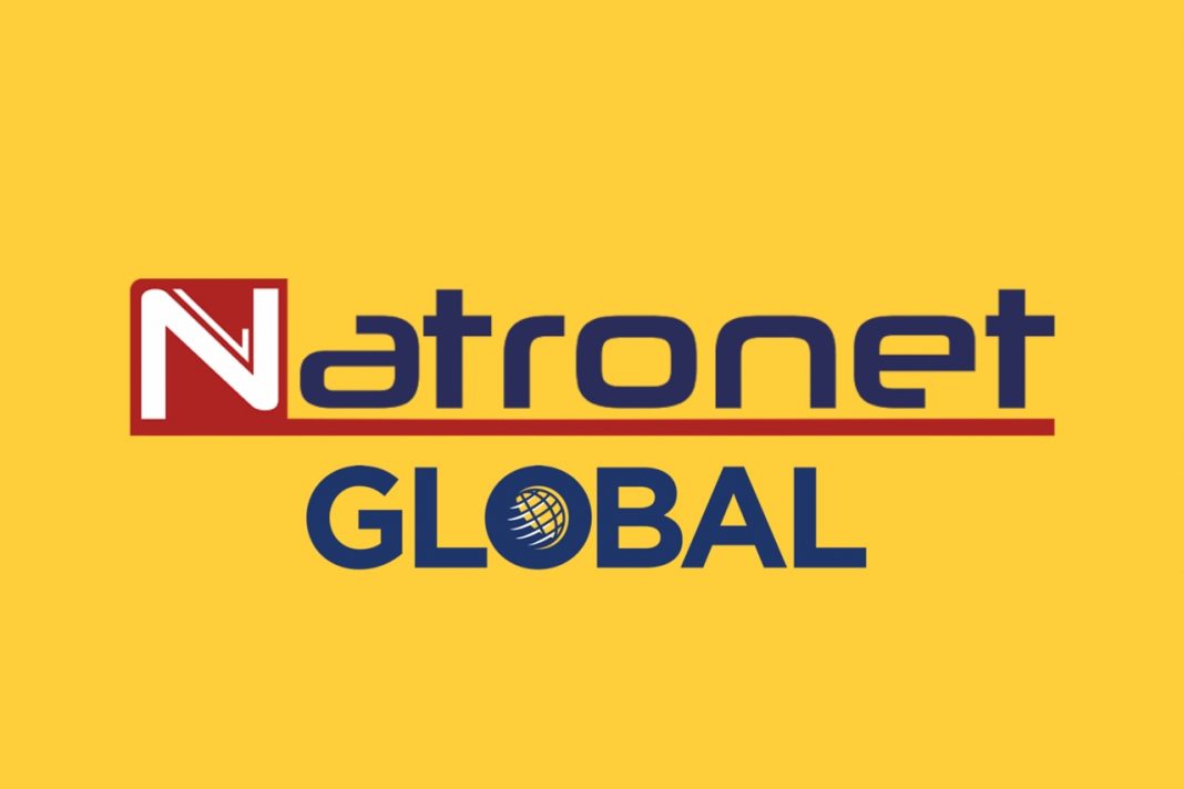 NatroNet Global Express'in Hizmetleri