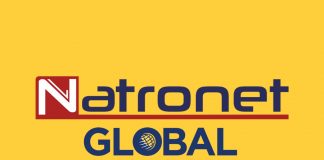 NatroNet Global Express'in Hizmetleri