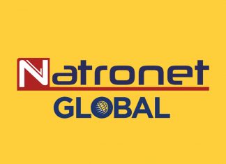 NatroNet Global Express'in Hizmetleri