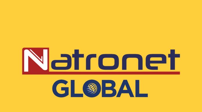 NatroNet Global Express’in Hizmetleri NatroNet Global Express'in Hizmetleri