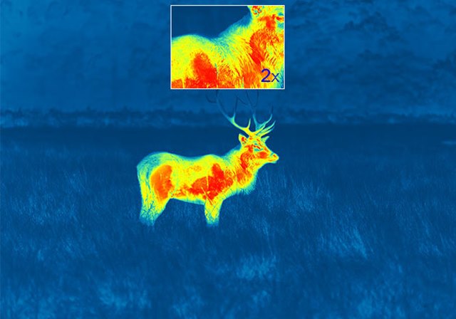 Thermal imaging binoculars: Pulsar Profesyonel Termal Dürbünler Thermal imaging binoculars: Pulsar Profesyonel Termal Dürbünler