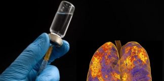 Koronavirüs: İlk Aşı Denemesi ABD’de Gerçekleştirildi