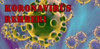 Koronavirüs: Koronavirüs rehberi Bilmeniz gerekenler sayfada