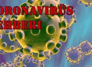 Koronavirüs: Koronavirüs rehberi Bilmeniz gerekenler sayfada