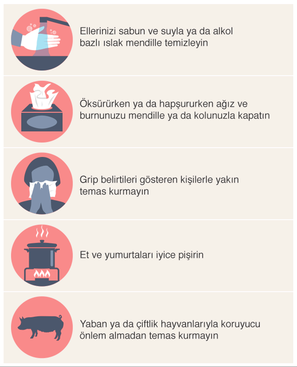 Koronavirüs: Koronavirüs rehberi Bilmeniz gerekenler sayfada