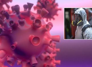 Koronavirüs salgını ne zaman bitecek?