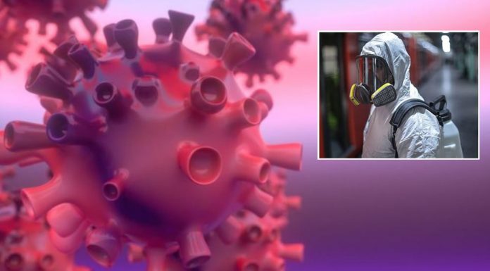 Koronavirüs salgını ne zaman bitecek?