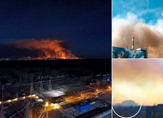 Çernobil nükleer santrali yangın tehdidi altında