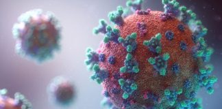 Koronavirüse iki kez yakalanmak mümkün mü, bağışıklık nasıl oluşur?