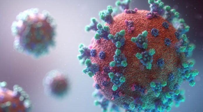 Koronavirüse iki kez yakalanmak mümkün mü, bağışıklık nasıl oluşur?