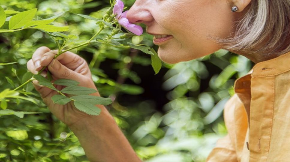 Koronavirüse iki kez yakalanmak mümkün mü, bağışıklık nasıl oluşur?