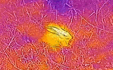 Blackview Bv9900 Pro - Blackview Bv9800 Pro Telefonlar 