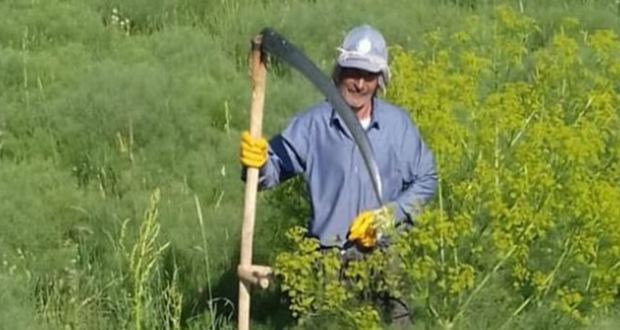 Van'da iki köylü Askerler tarafından helikopterden atıldı mı? Van'da iki köylü Askerler tarafından helikopterden atıldı mı?