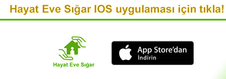 Hes kodunu nasıl alabilirim Hes kodu alma ve kullanımı