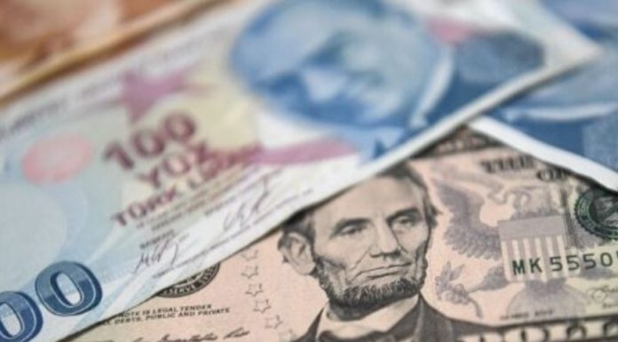 Dolar/TL kurunun tekrar 8'in üzerine Çıkmasında Arınç'ın istifasının rolü var mı?