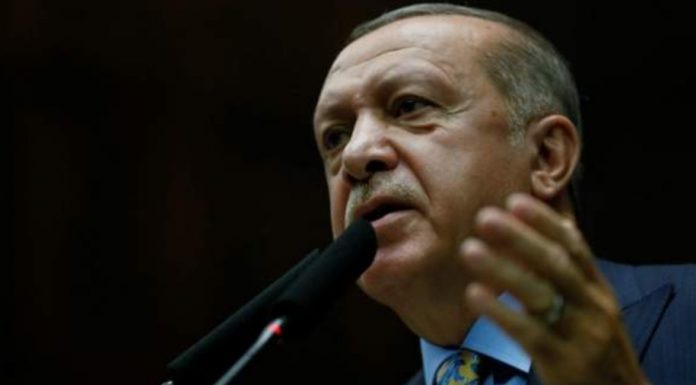 Erdoğan’dan Arınç’a tepki: Teröristlerden birinin kitabının tavsiye edilmesi beni rencide etti Erdoğan'dan Arınç'a tepki: Teröristlerden birinin kitabının tavsiye edilmesi beni rencide etti
