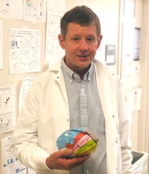 Dergi: Beğenmek ve istemek arasındaki fark