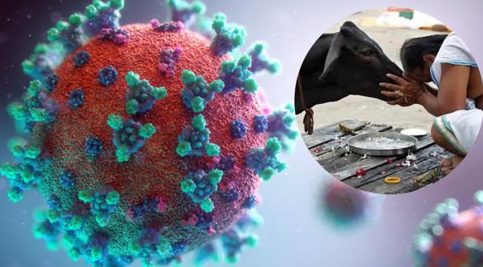 Koronavirüs hakkında dikkate almamanız gereken hurafeler