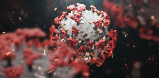 İngiltere'de tespit edilen yeni Koronavirüs mutasyonu hakkında neler biliniyor