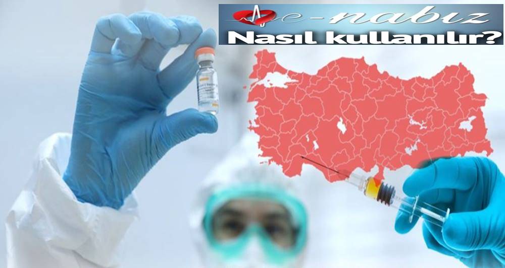 Sağlık Bakanlığı Covid aşısında öncelik sıralamasını nasıl belirledi? Sağlık Bakanlığı Covid aşısında öncelik sıralamasını nasıl belirledi?