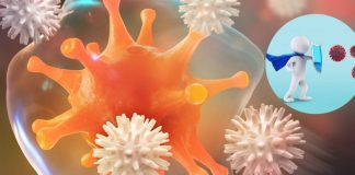 Bağışıklık sistemi nasıl zayıflar ve güçlendirmek için neler yapılmalıdır