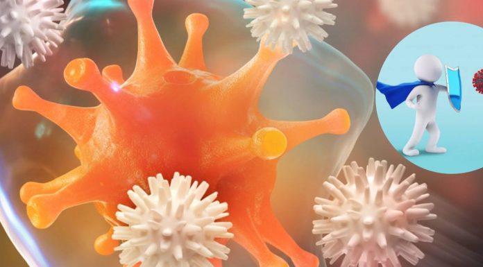 Bağışıklık sistemi nasıl zayıflar ve güçlendirmek için neler yapılmalıdır