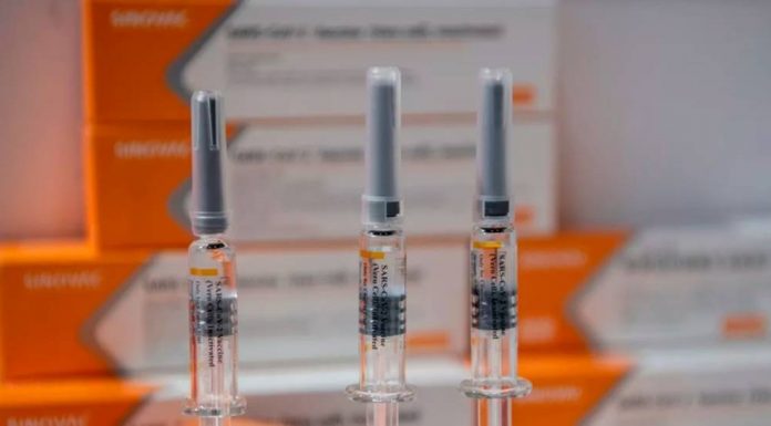 Çin aşısı CoronaVac'ın Brezilya'daki testlere göre etkinlik oranı yüzde 50,4