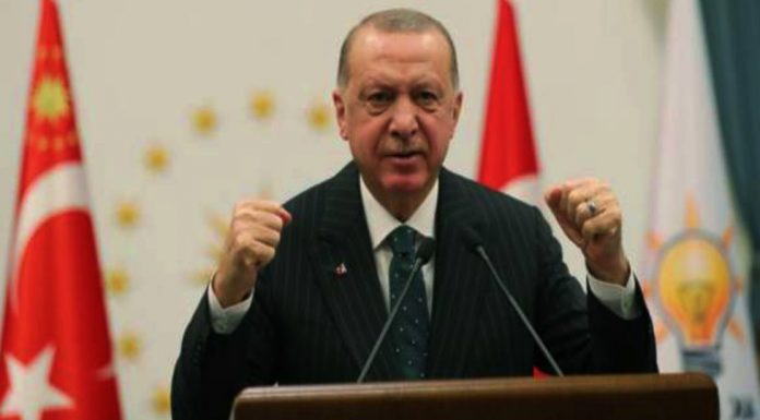 Erdoğan: Sosyal medya şirketlerinin baskılarına boyun eğmeyiz Erdoğan: Sosyal medya şirketlerinin baskılarına boyun eğmeyiz