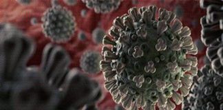 Bilim insanları: Koronavirüs mutasyonunun daha ölümcül olduğunu söylemek için çok erken