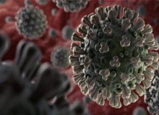 Bilim insanları: Koronavirüs mutasyonunun daha ölümcül olduğunu söylemek için çok erken