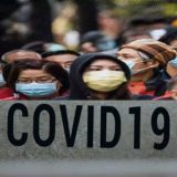 Koronavirüs insana nasıl bulaştı? Dünya Sağlık Örgütü 4 ihtimal üzerinde duruyor